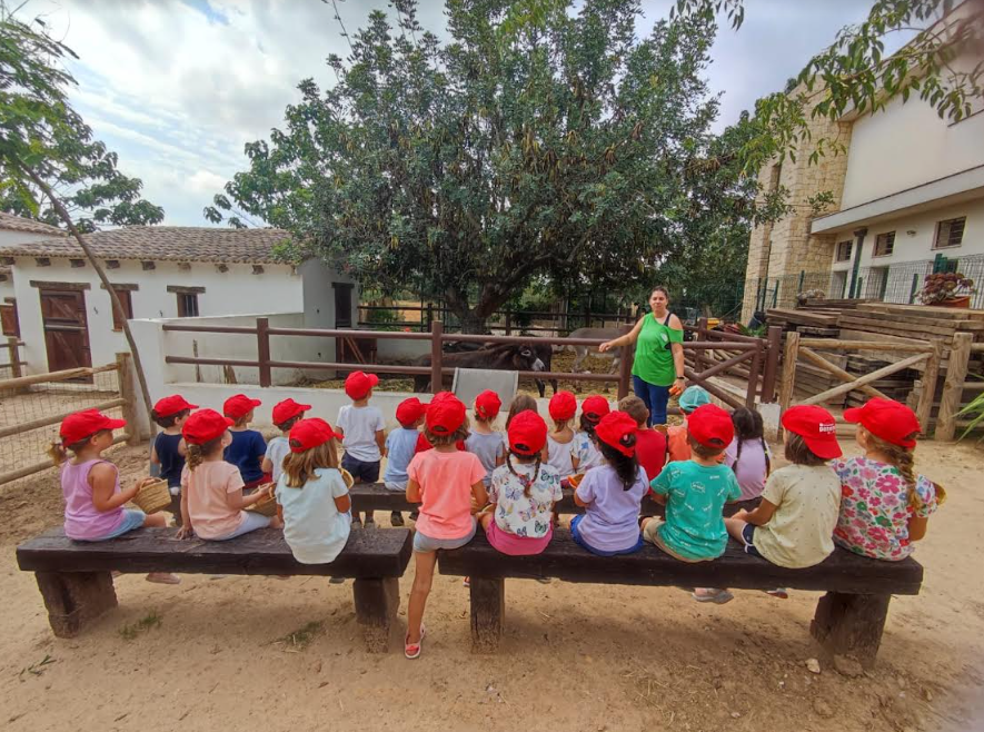 Paterna escuela de verano 2023